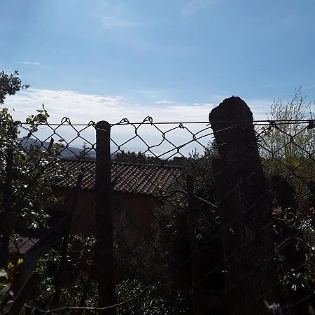 Villetta A Schiera Nei Pressi Del Mare Livorno Exterior foto