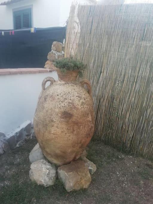 Villetta A Schiera Nei Pressi Del Mare Livorno Exterior foto